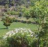 Valley between Valldemossa and Deia