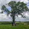 Resting in the field near a nice tree