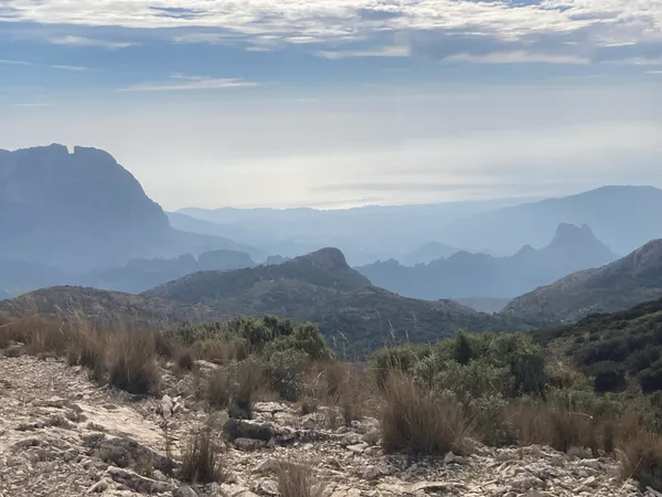 View on top of the plateau