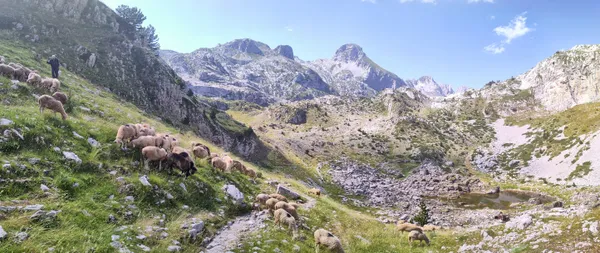 Sheep herder on the border between Albania and Montenegro