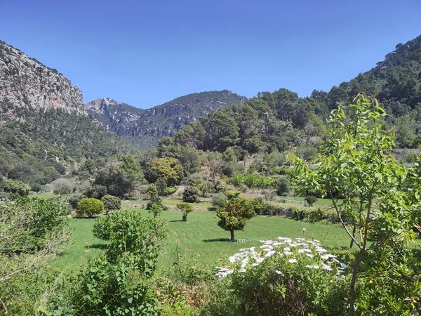 Valley between Valldemossa and Deia